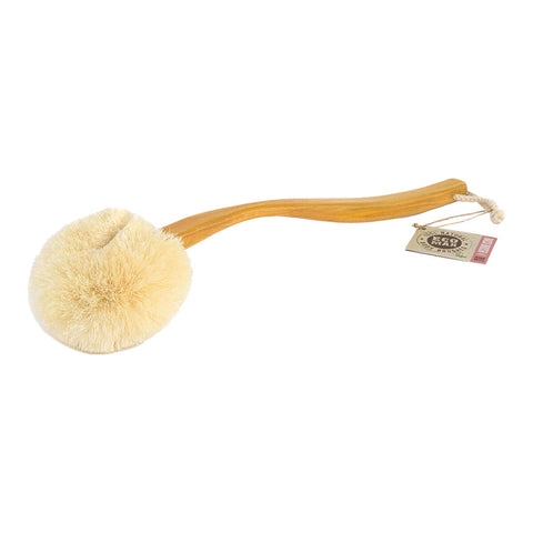 Back brush with natural fibres and a long handle made of sustainable timber.