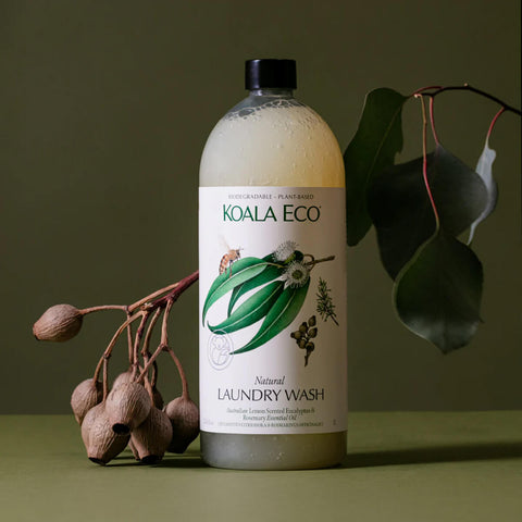 Plastic refill bottle of natural laundry wash with lemon scented eucalyptus and rosemary styled with plants on a surface.