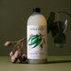 Plastic refill bottle of natural laundry wash with lemon scented eucalyptus and rosemary styled with plants on a surface.