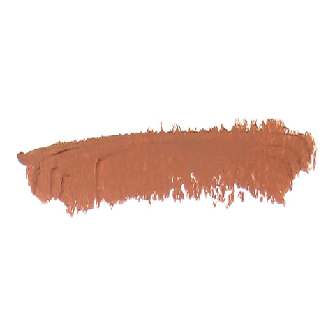 Swatch of Kylie's Professional Mineral Goddess Lip Pencil in the shade 'Earthy', a soft dusty natural brown.