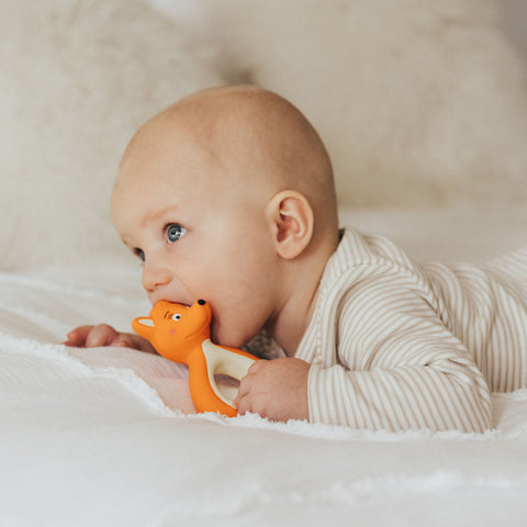 Mini Mizzie Baby Teether