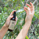 Hand holding plastic spray bottle of natural insect repellent in nature.