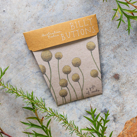 Gift of Seeds - Billy Buttons