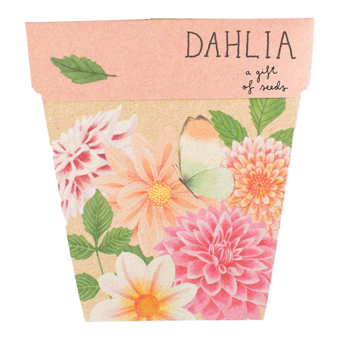 Gift of Seeds - Dahlia