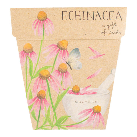 Gift of Seeds - Echinacea