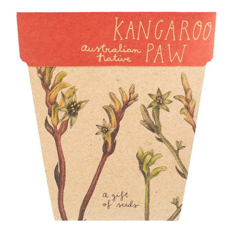 Gift of Seeds - Kangaroo Paw