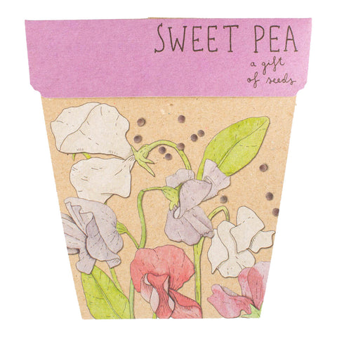 Gift of Seeds - Sweet Pea