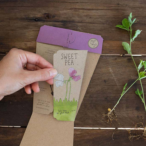 Gift of Seeds - Sweet Pea