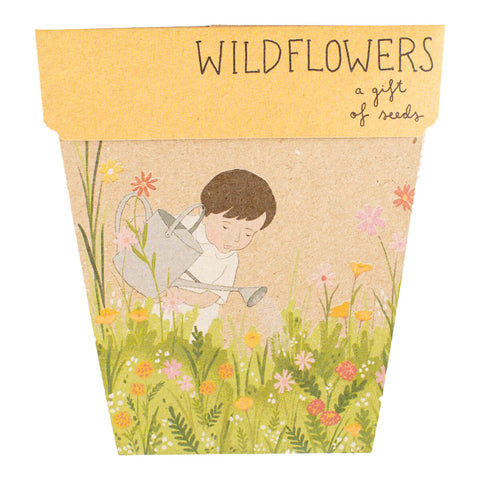 Gift of Seeds - Wildflowers